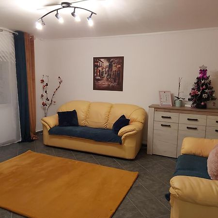 布拉索夫Central Lala Apartament公寓 外观 照片