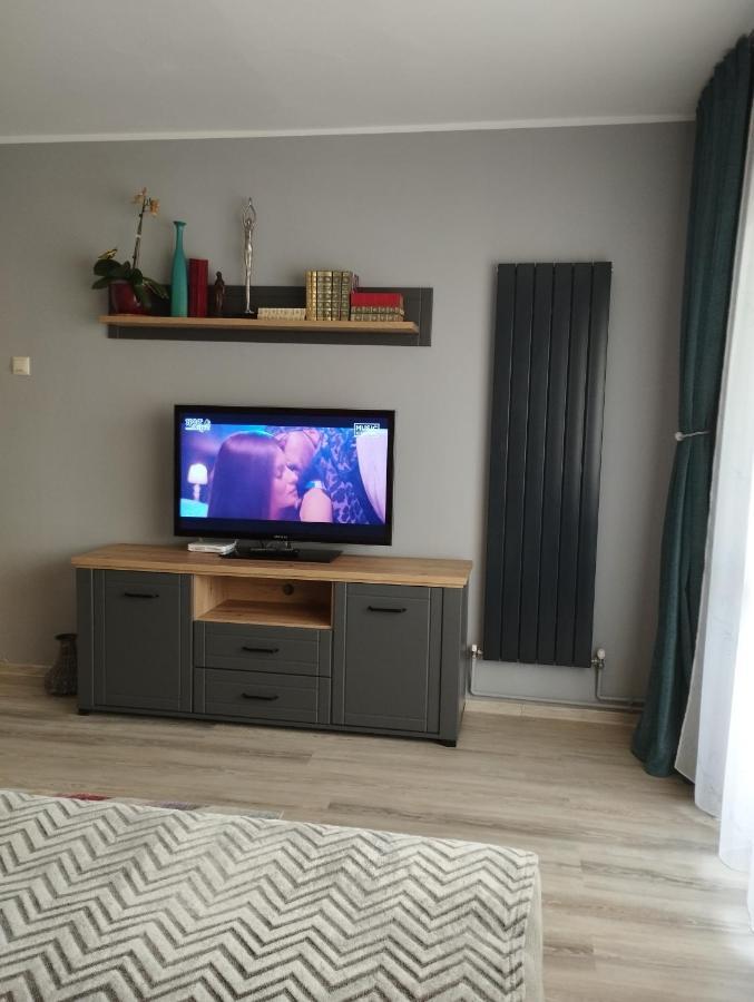 布拉索夫Central Lala Apartament公寓 外观 照片