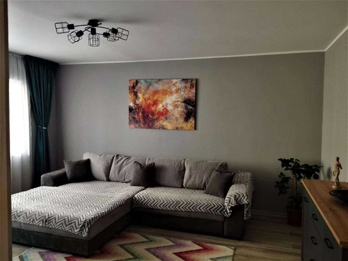 布拉索夫Central Lala Apartament公寓 外观 照片