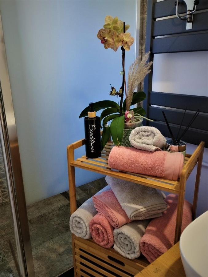 布拉索夫Central Lala Apartament公寓 外观 照片