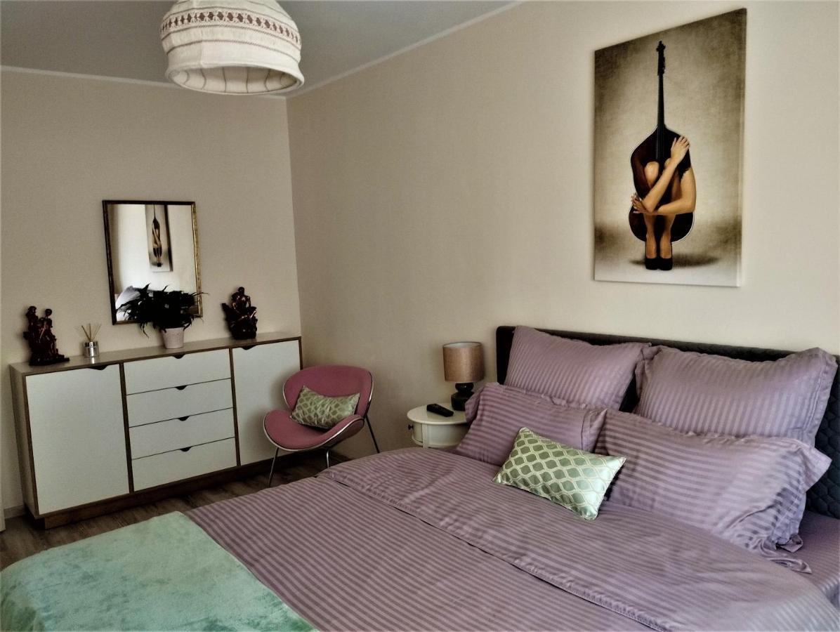布拉索夫Central Lala Apartament公寓 外观 照片