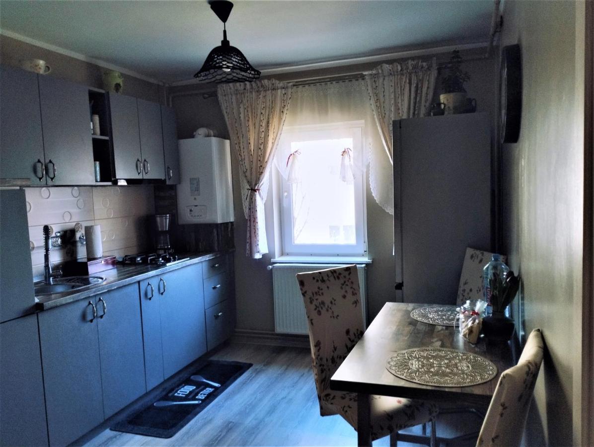 布拉索夫Central Lala Apartament公寓 外观 照片