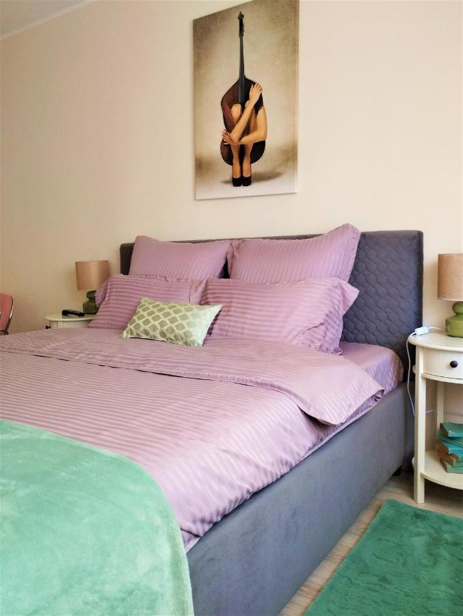布拉索夫Central Lala Apartament公寓 外观 照片