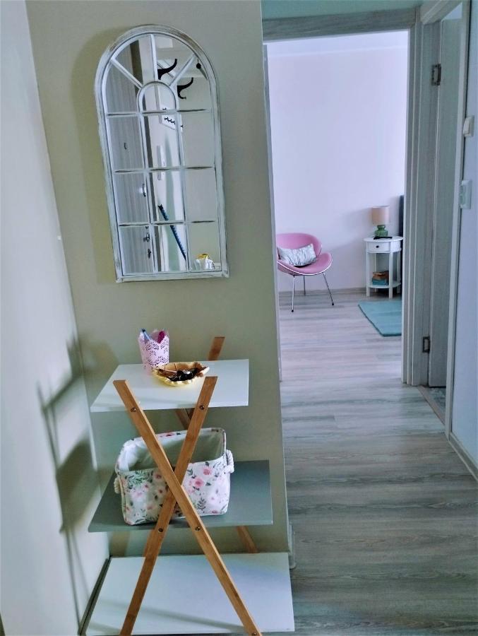 布拉索夫Central Lala Apartament公寓 外观 照片
