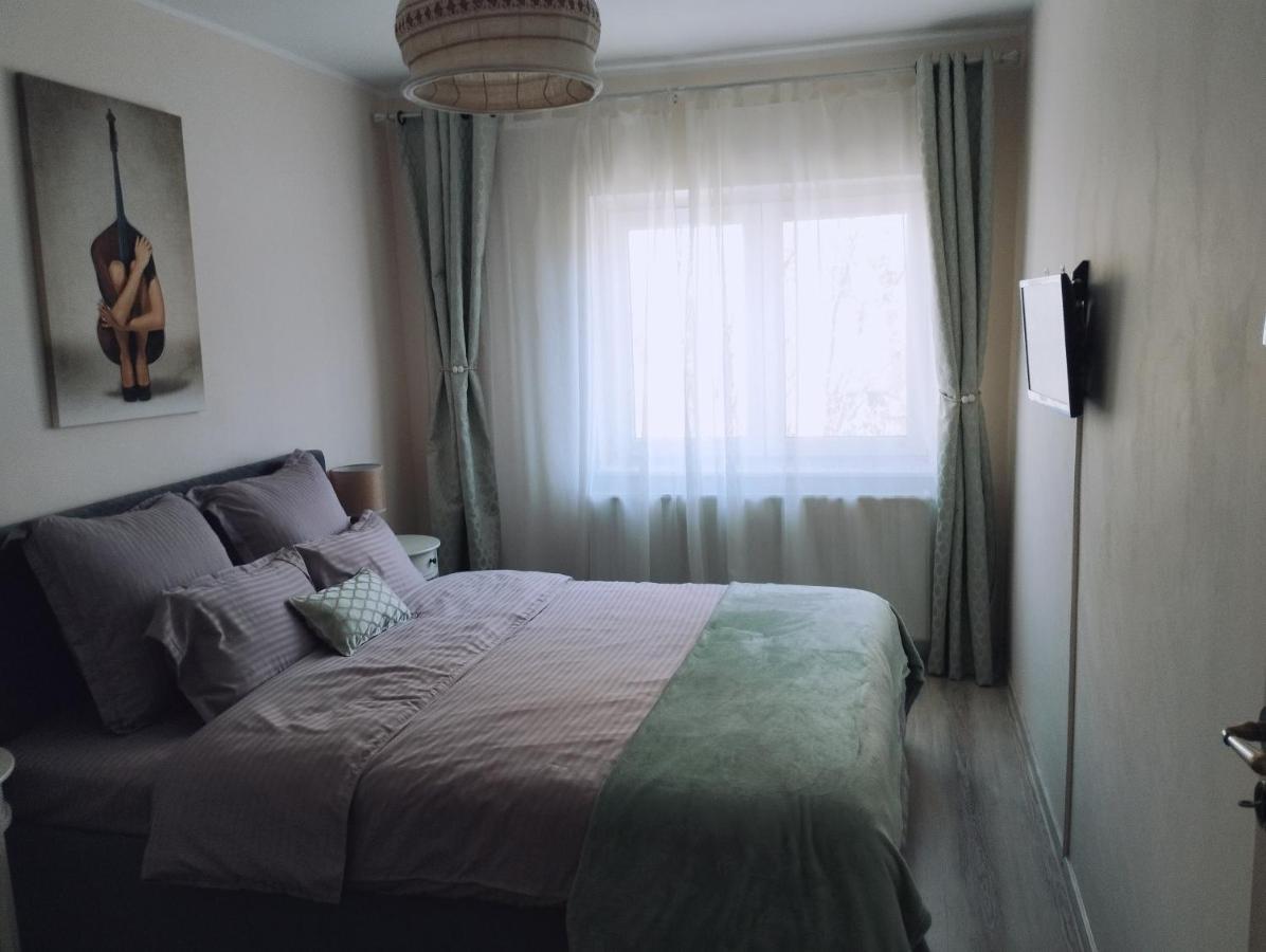 布拉索夫Central Lala Apartament公寓 外观 照片
