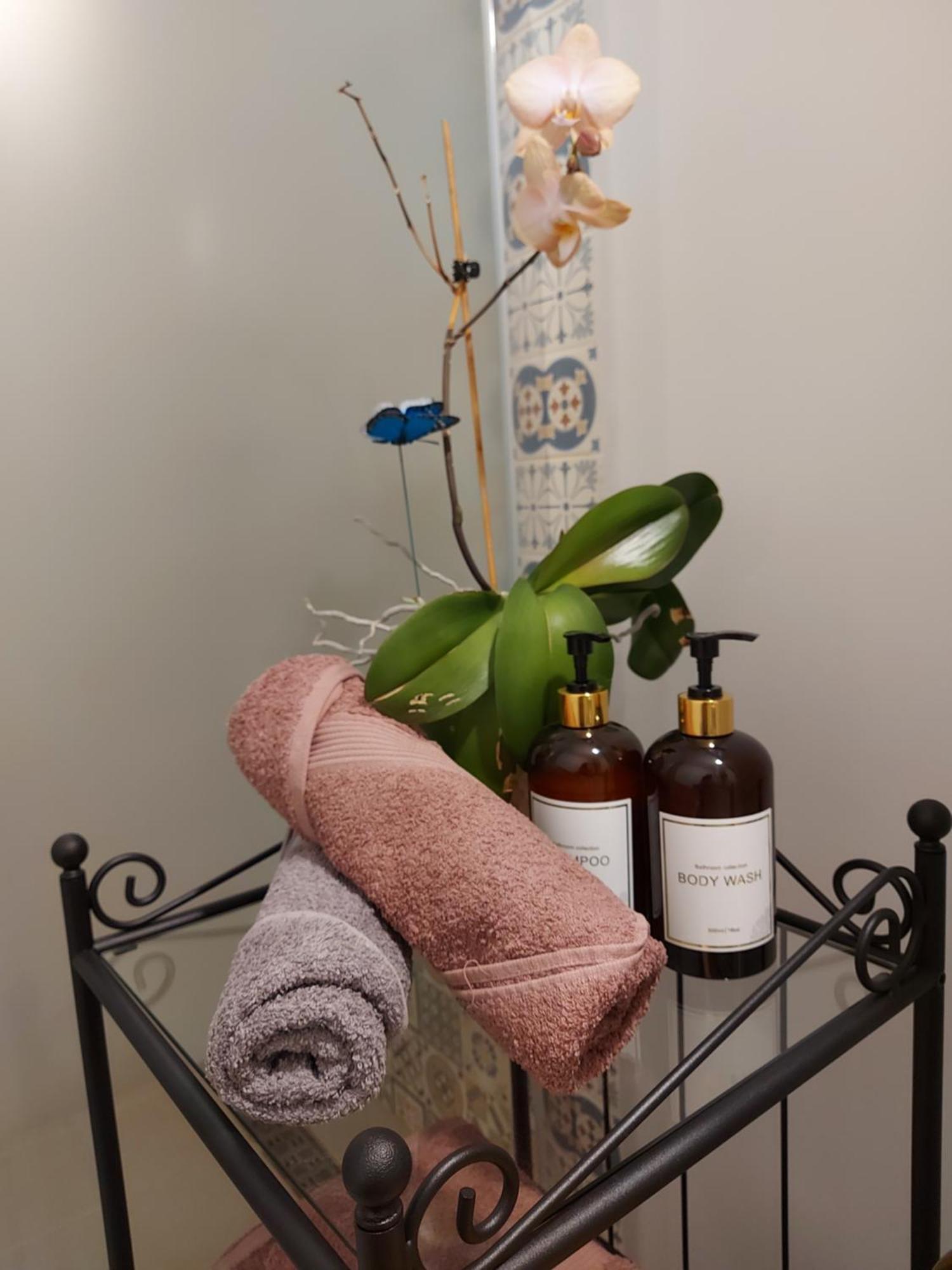 布拉索夫Central Lala Apartament公寓 外观 照片